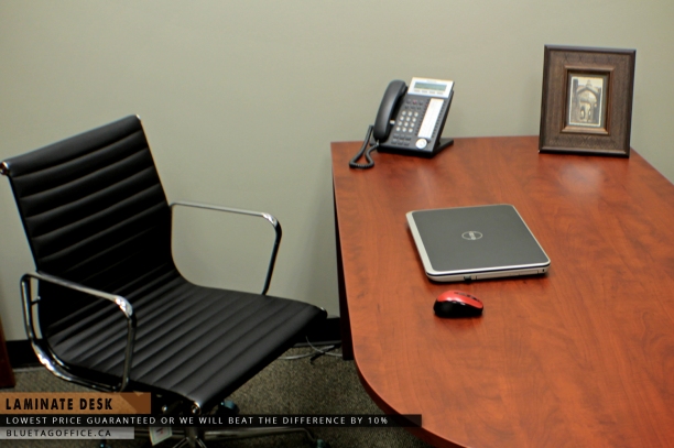 Sleek Office Desk on SALE. As seen on BLUETAGOFFICE.ca
