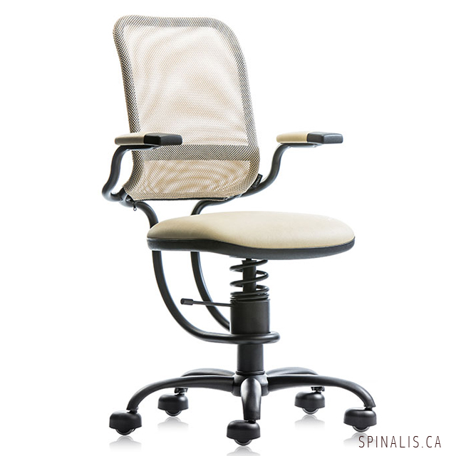 SpinaliS Canada - Ergonomic Series Chair - Beige Color - How to