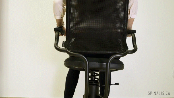 spinalis-canada-ergonomic-series-chair-for-great-posture