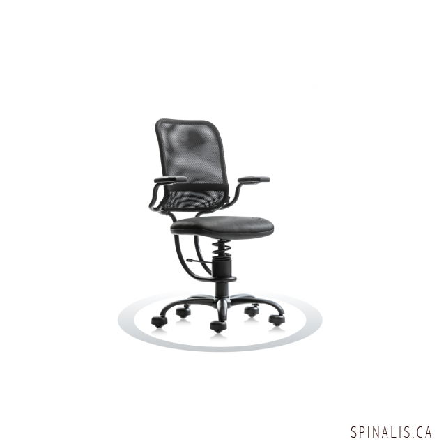 SpinaliS Canada - Ergonomic Series Chair - Grey Color - How to C
